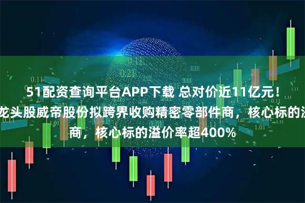51配资查询平台APP下载 总对价近11亿元！汽车电子细分龙头股威帝股份拟跨界收购精密零部件商，核心标的溢价率超400%