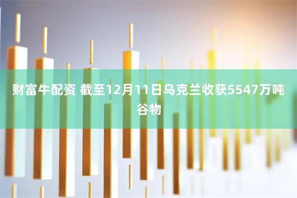 财富牛配资 截至12月11日乌克兰收获5547万吨谷物